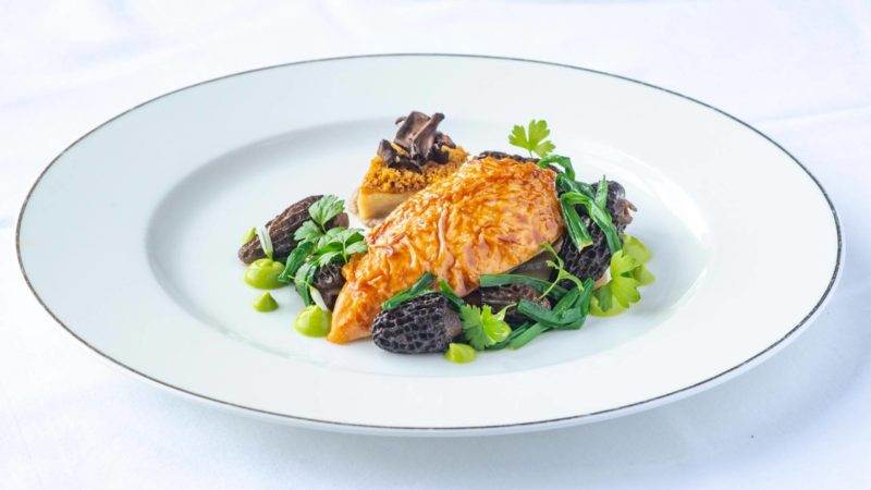 dining-chicken-01