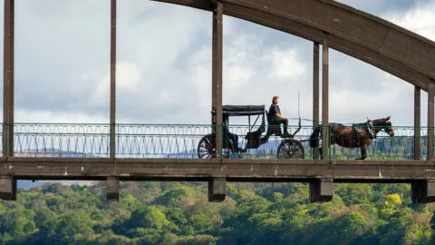 Horse-drawn carriage crosses scenic bridge with lush green landscape, offering guests a charming, picturesque experience.