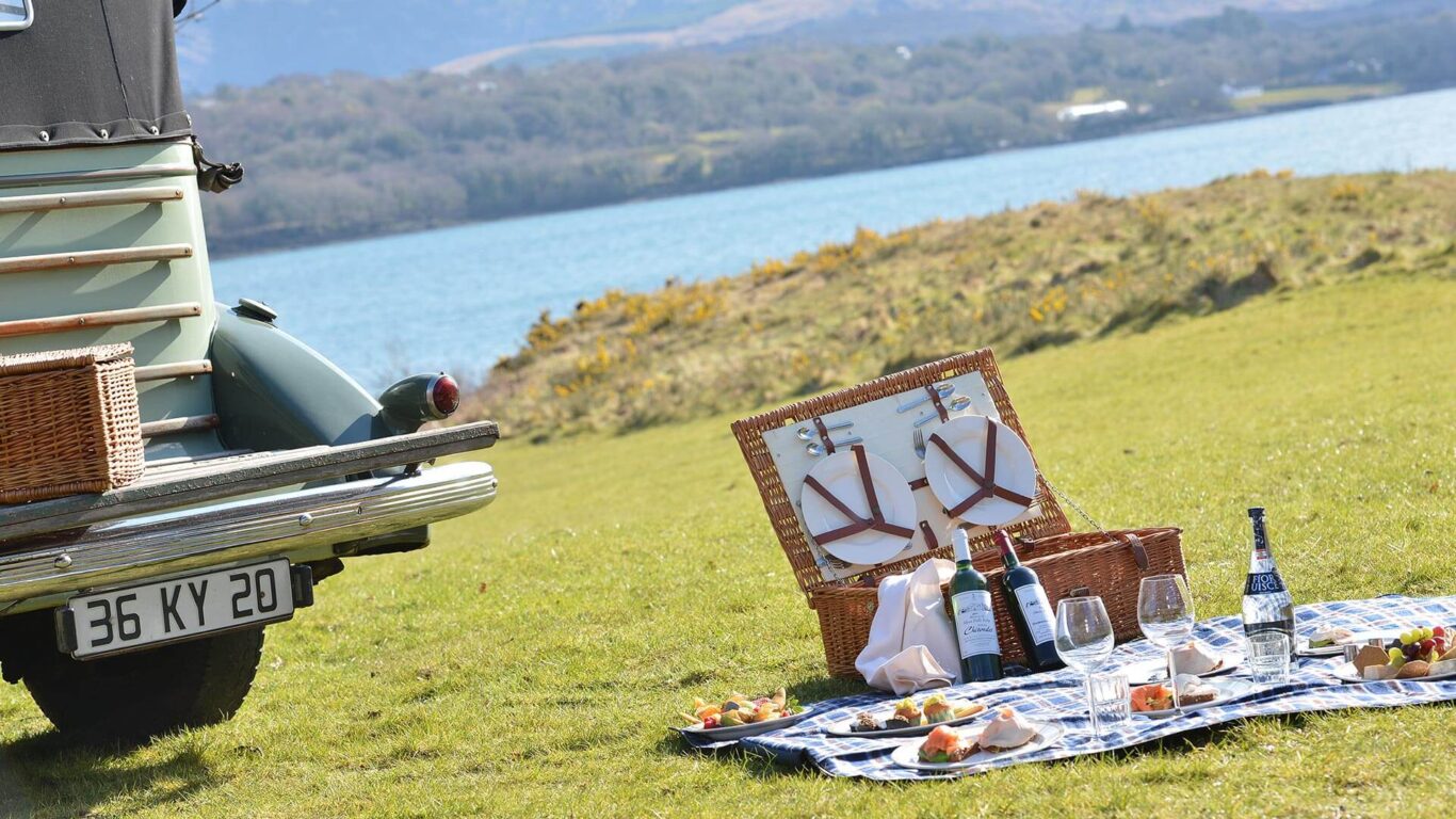 picnic-01