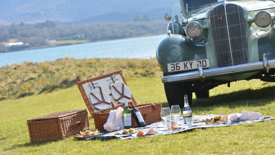 picnic-02