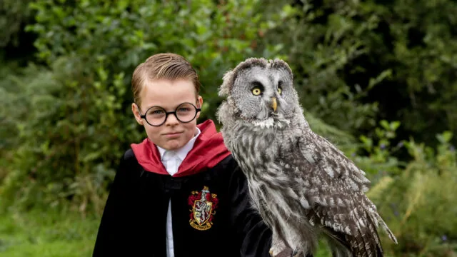 Harr Potter 02.10