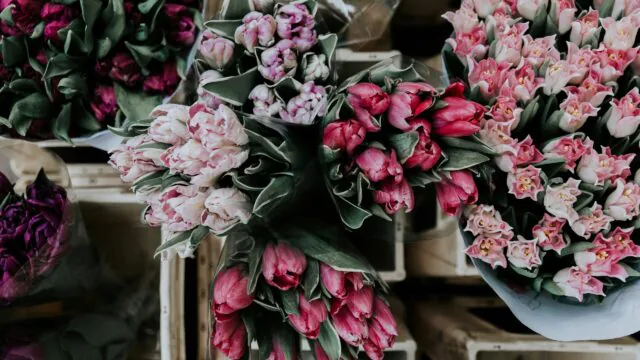 lucija-ros-30uGGkOFj18-unsplash