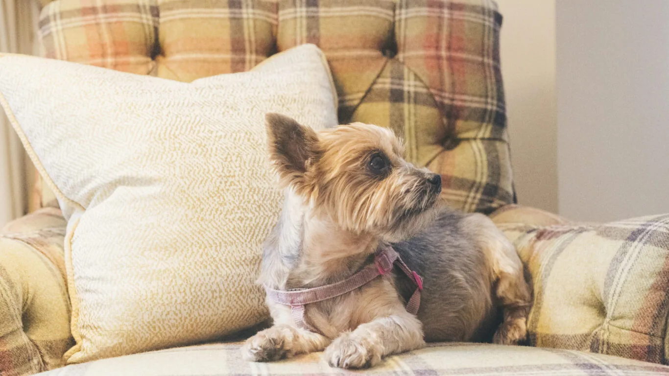 109_20220908-_C061546