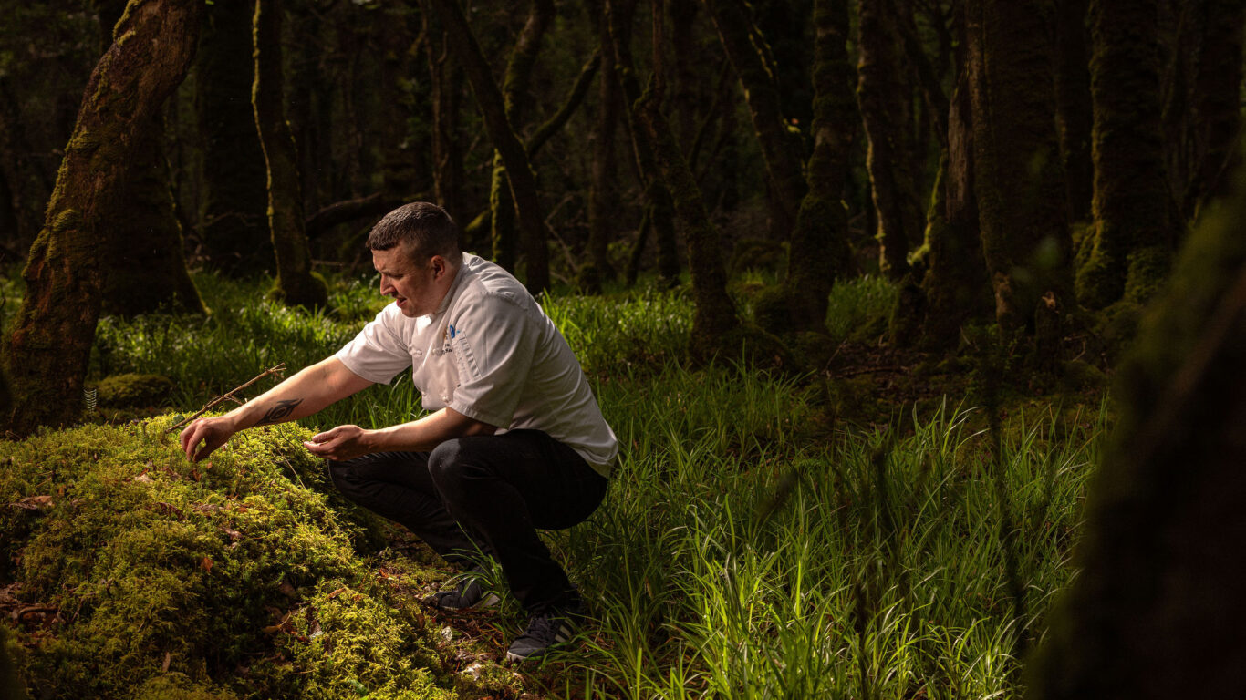 A person in a white shirt crouches, inspecting moss on a rock in a green, sunlit forest.