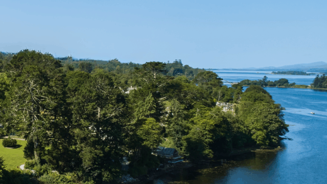 A body of water with trees and a house on it.