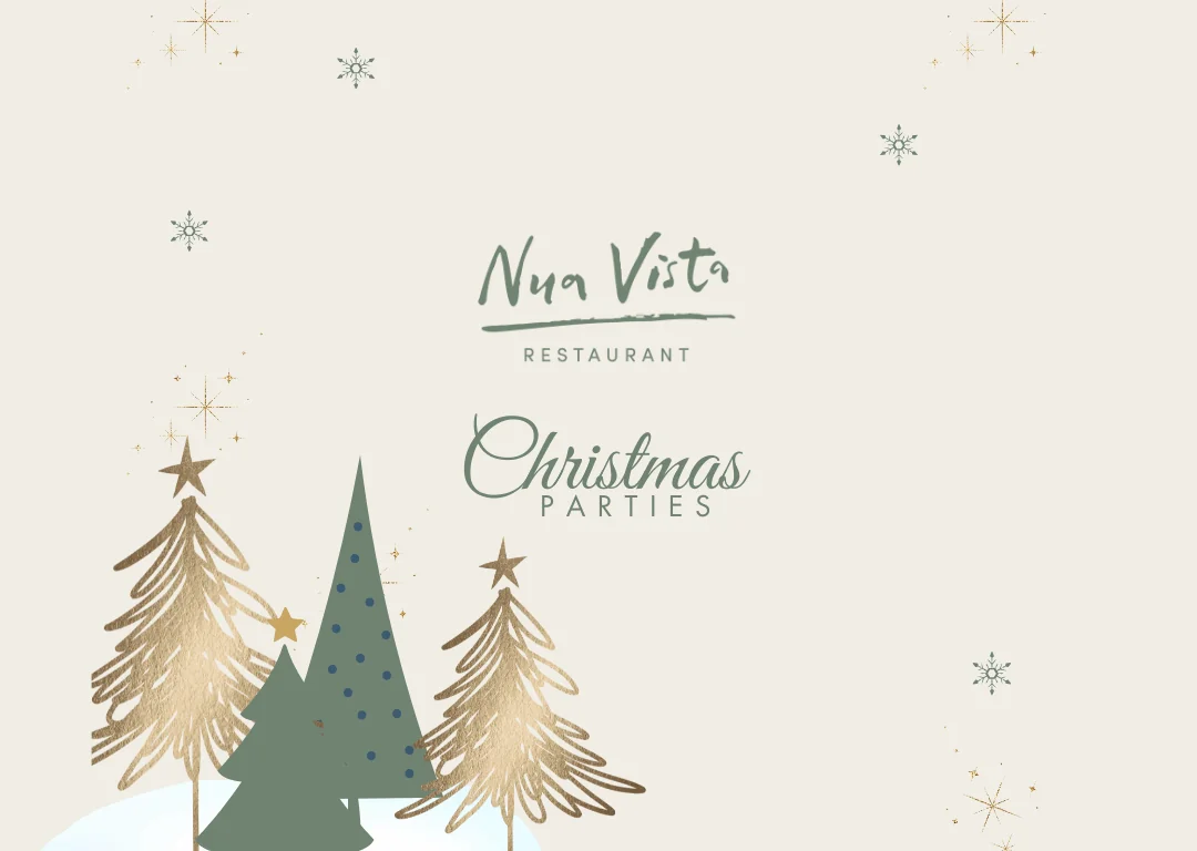 Minimalist Christmas-themed graphic for 