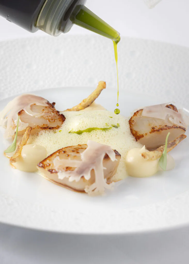 Elegant restaurant dish with seared scallops, foam, and green sauce at luxury hotel dining, showcasing fine gourmet cuisine.