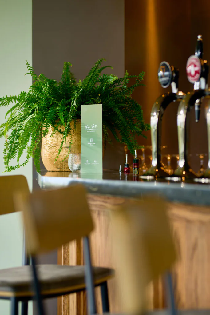 Stylish bar area with lush green fern, inviting atmosphere, and beer taps, perfect for relaxing