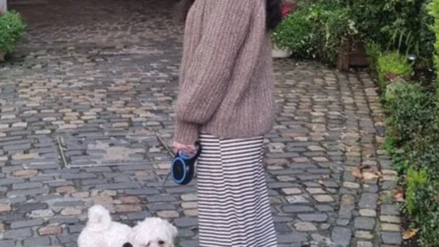 Guest with dog enjoys stroll on cobblestone path at pet-friendly hotel entrance, lush greenery surrounds the cosy setting.