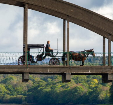 Enjoy a serene horse-drawn carriage ride on a bridge with lush views, perfect for a relaxing hotel getaway.