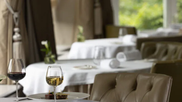 Elegant hotel dining area with fine dining setup, plush chairs, and scenic garden view through large windows.